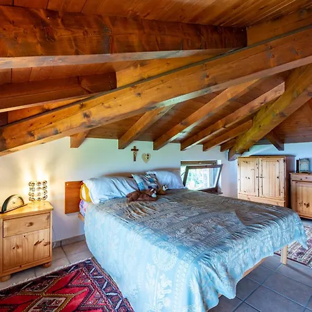 Il Dipinto Sul Center - Happy ستريزا